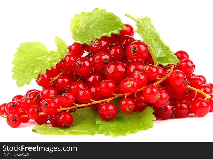 Very fresh and juicy red currants