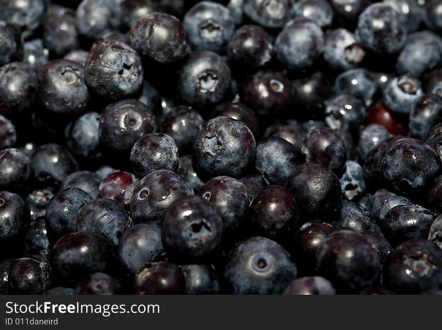 A closeup of fresh sweet blueberries