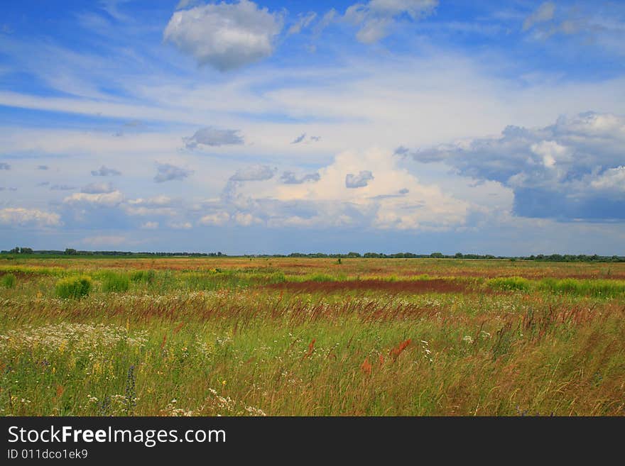 Wide meadow in good weather with the sky in beautiful clouds. Wide meadow in good weather with the sky in beautiful clouds