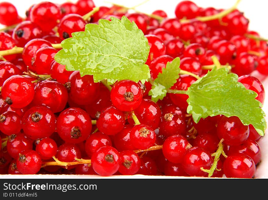 Very fresh and sweet red currants