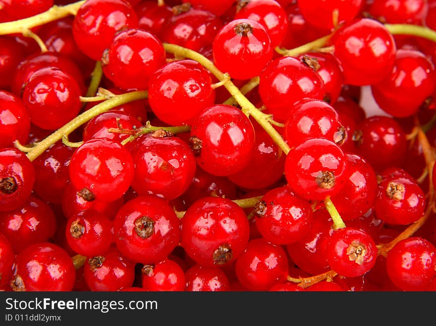 Very fresh and juicy red currant