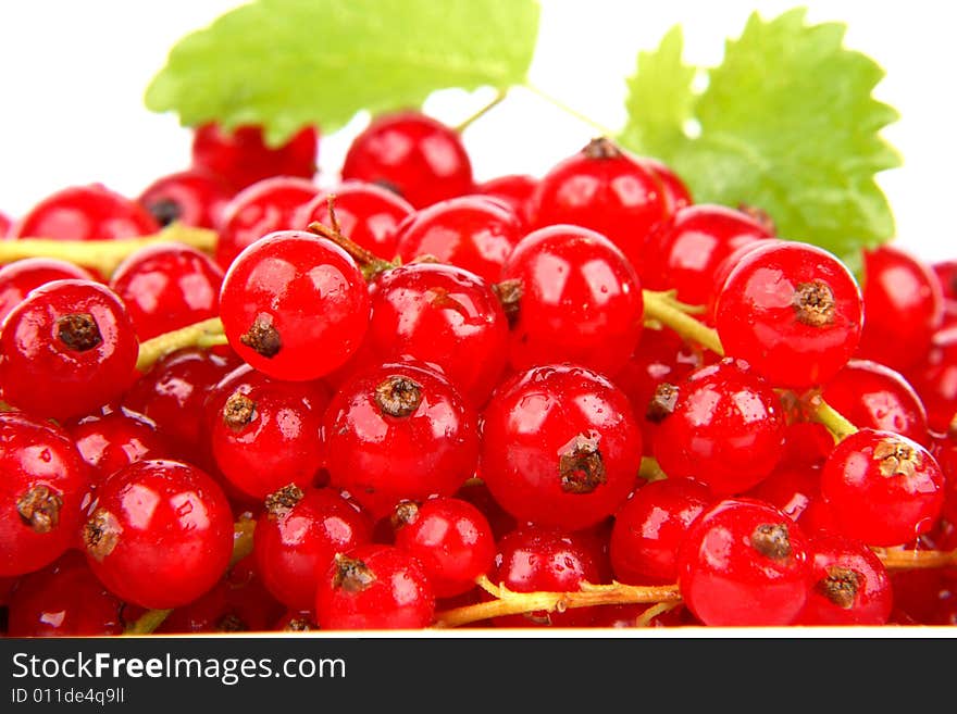 Very fresh and sweet red currants