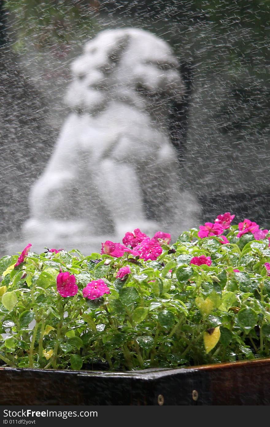 Flower and chinese stone lion. Flower and chinese stone lion.