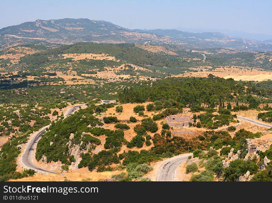 Hilly landscape with withered grass and green trees under the blue sky