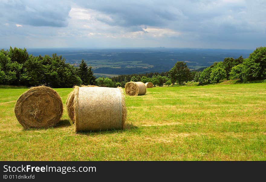 Harvested mountain field