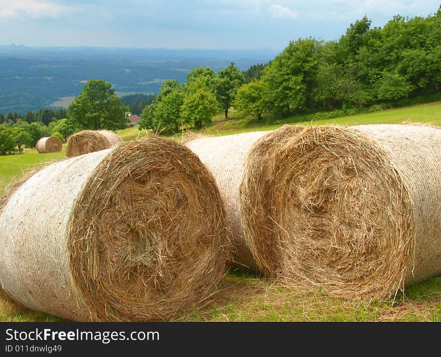 Harvested mountain field