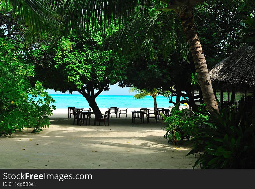 Island of Paradise. White sand beaches with coco-tree and crystal blue water. Maldives. Luxury holidays. Island of Paradise. White sand beaches with coco-tree and crystal blue water. Maldives. Luxury holidays.