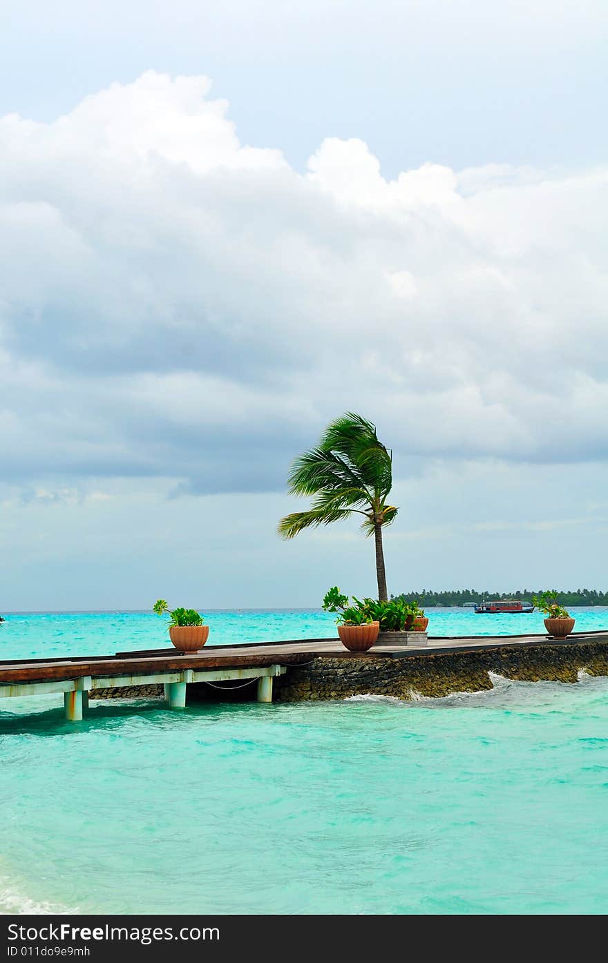 Island of Paradise. White sand beaches with coco-tree and crystal blue water. Maldives. Luxury holidays. Island of Paradise. White sand beaches with coco-tree and crystal blue water. Maldives. Luxury holidays.