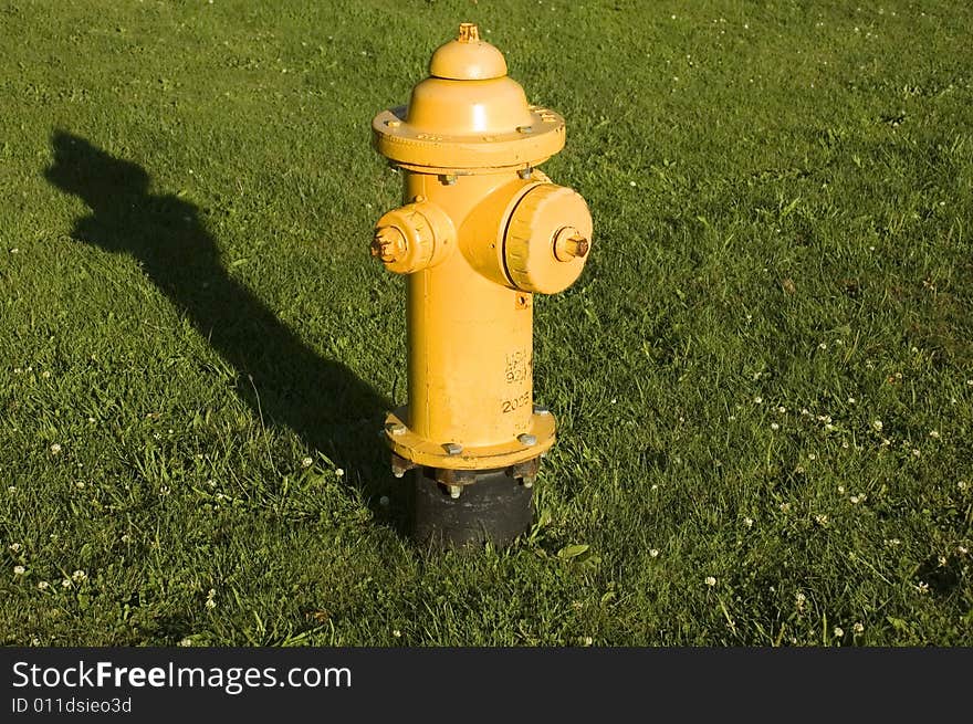 Yellow Fire Hydrant