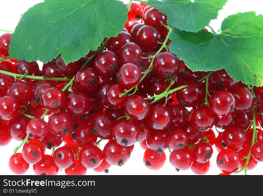 Red currants isolated on a white background. Red currants isolated on a white background.