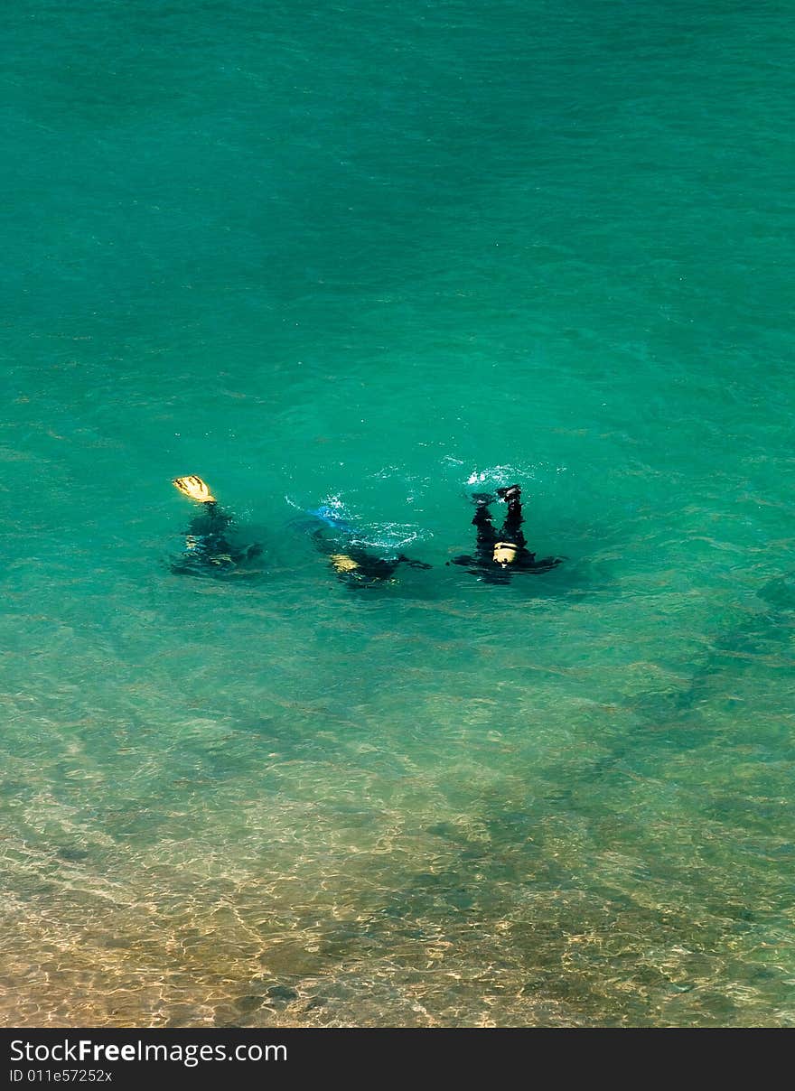 Divers In Shallow Water