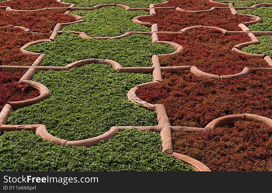 Part of gardens at Amber Fort in Jaipur, Western India. Part of gardens at Amber Fort in Jaipur, Western India