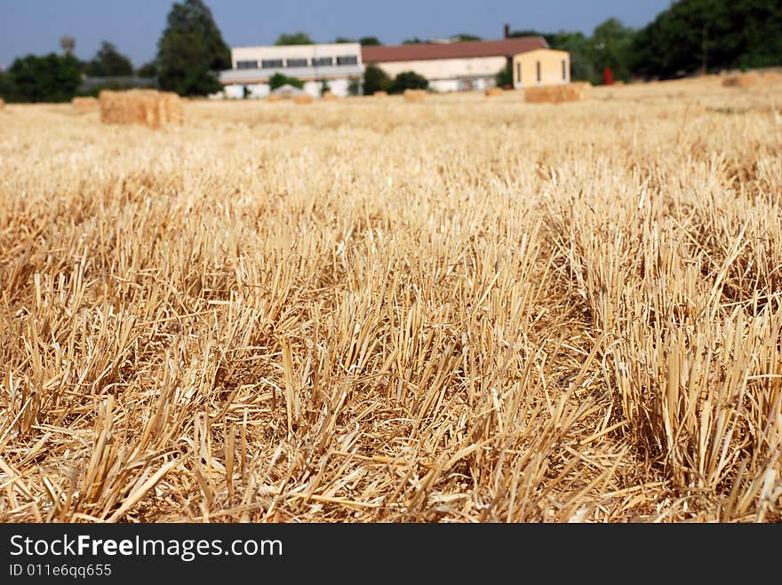 Hay field and back front of depot