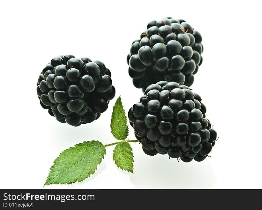 Three ripe fresh blackberries