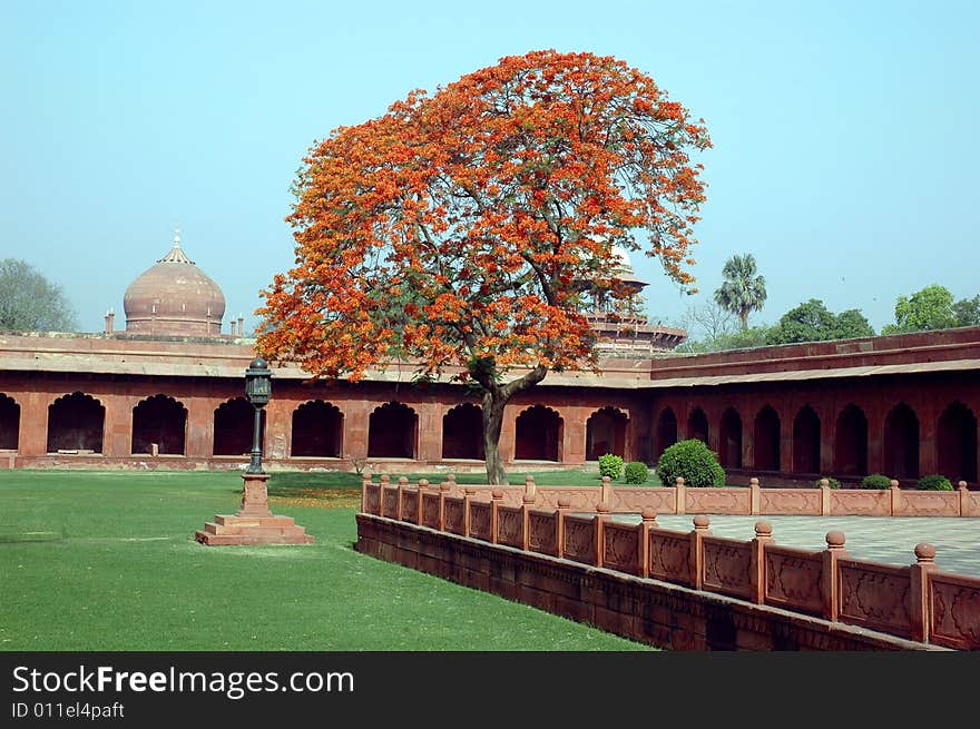 Tajmahal of India.