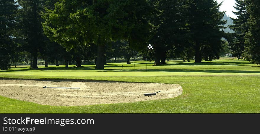 View of a golf green and sand trap on a course with many trees. View of a golf green and sand trap on a course with many trees