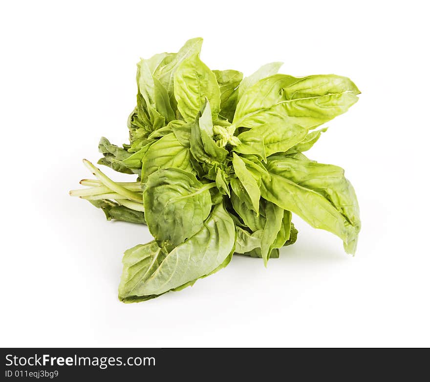 Basil