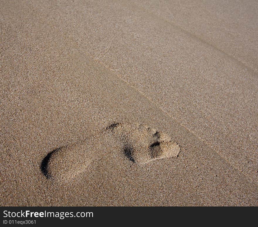 One footprint on the clean, sandy beach and lots of copyspace. One footprint on the clean, sandy beach and lots of copyspace.