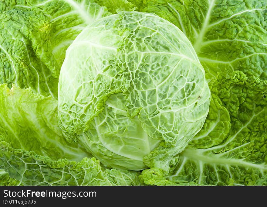 A piece of green cabbage - vegetable - detail