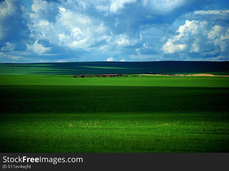 Hulunbuir Prairie