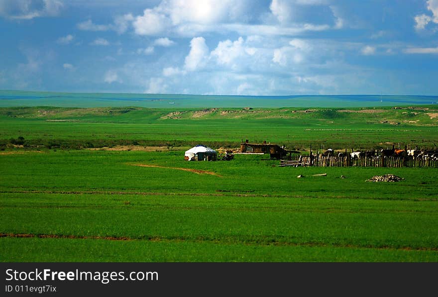 Hulunbuir prairie