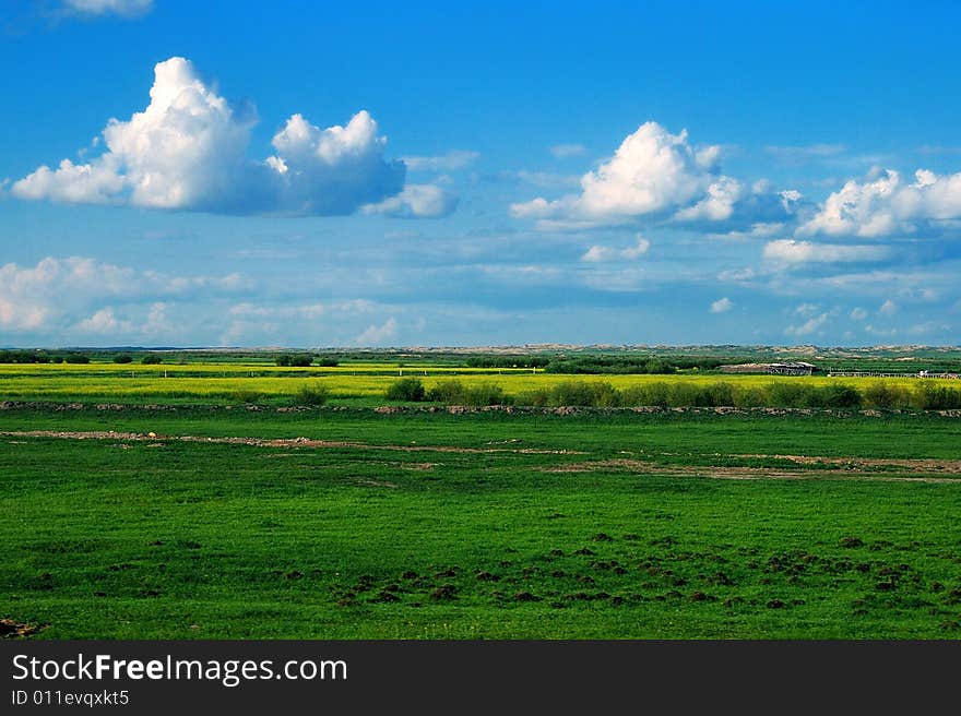 Hulunbuir prairie