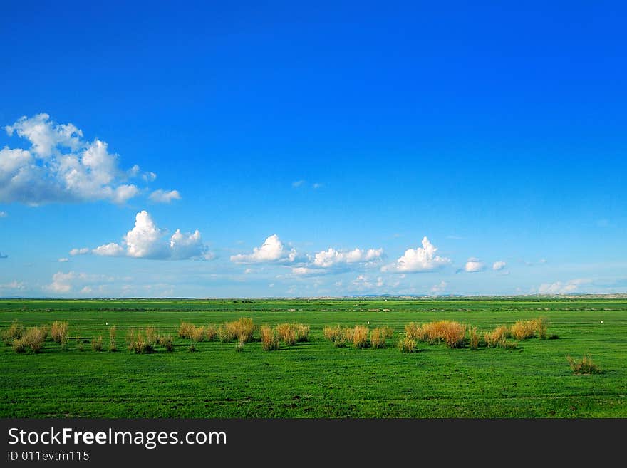 Hulunbuir prairie