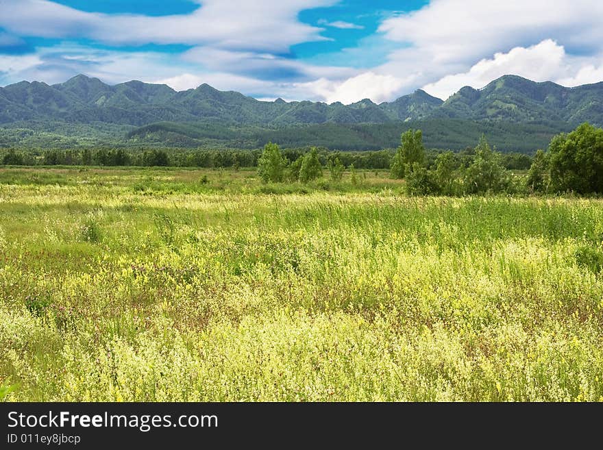 Field covered by grass and mountains. Field covered by grass and mountains