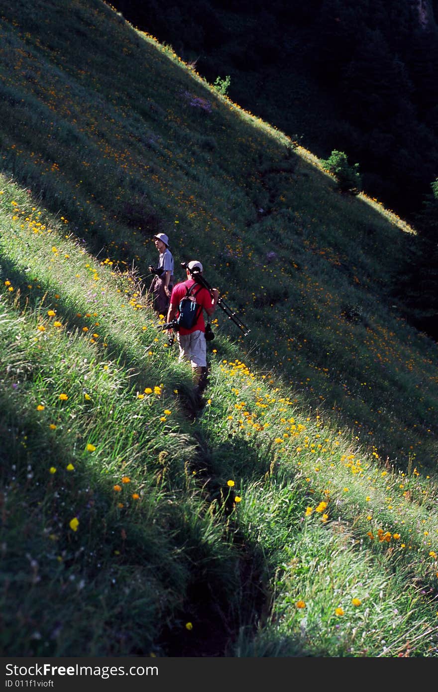 Nature photographers walking in a slope of wild flowers, xiaowutai mountain, china