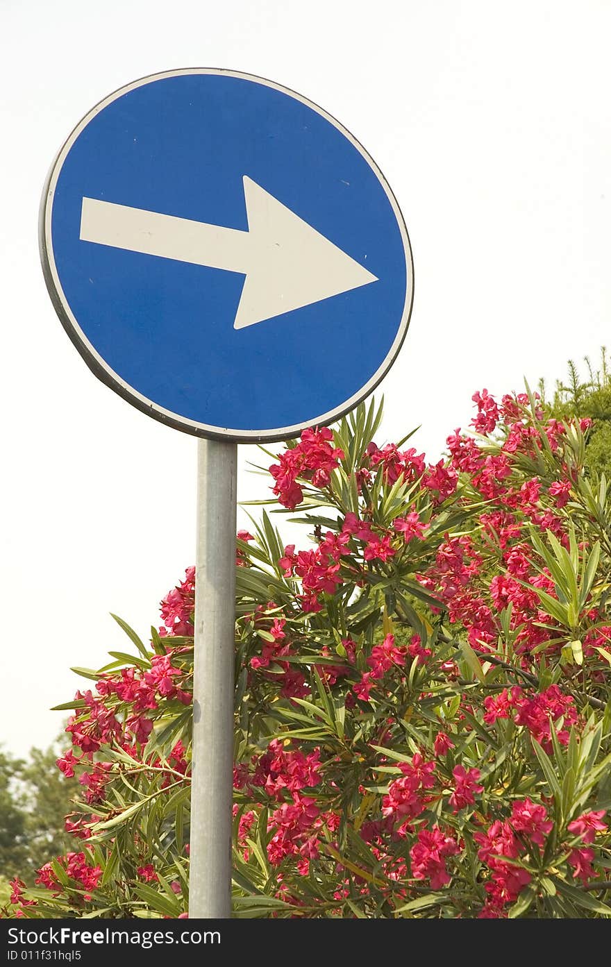 Arrow sign on a street