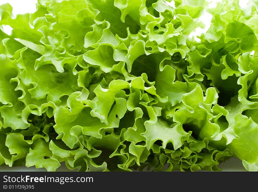 Leaves of lettuce