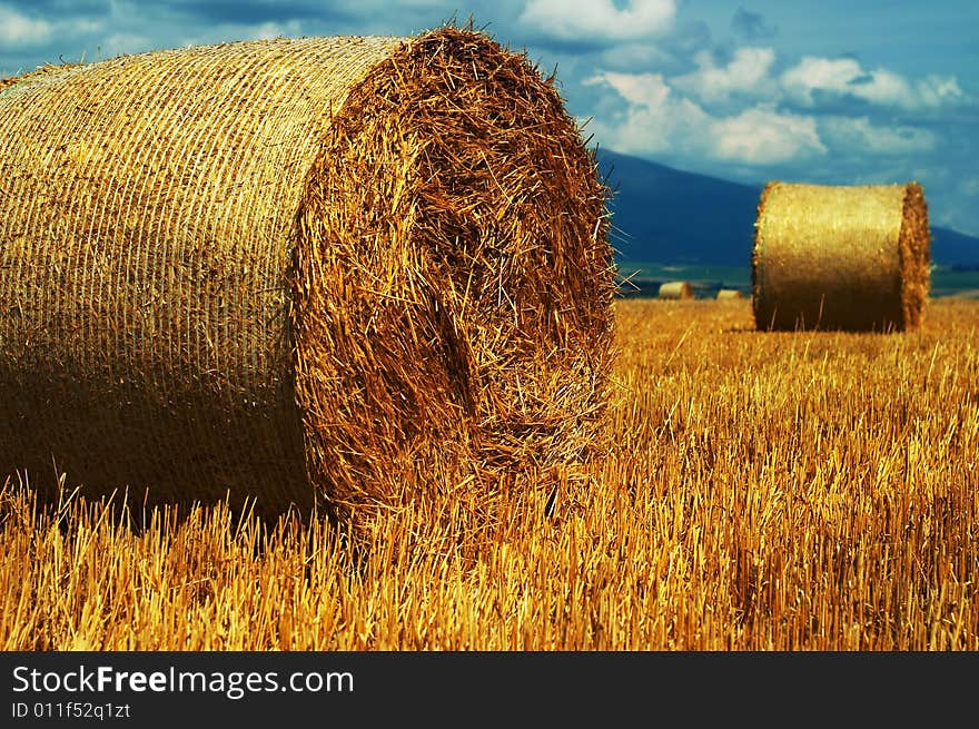 Autumn field in Liptov, Slovak Republic