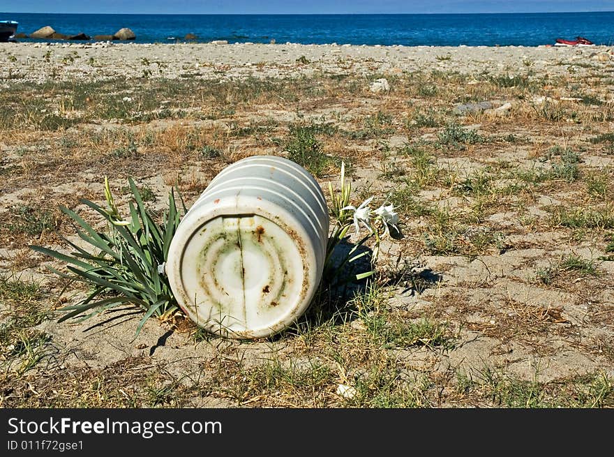 Plastic container abandoned on beach lying on flower plant