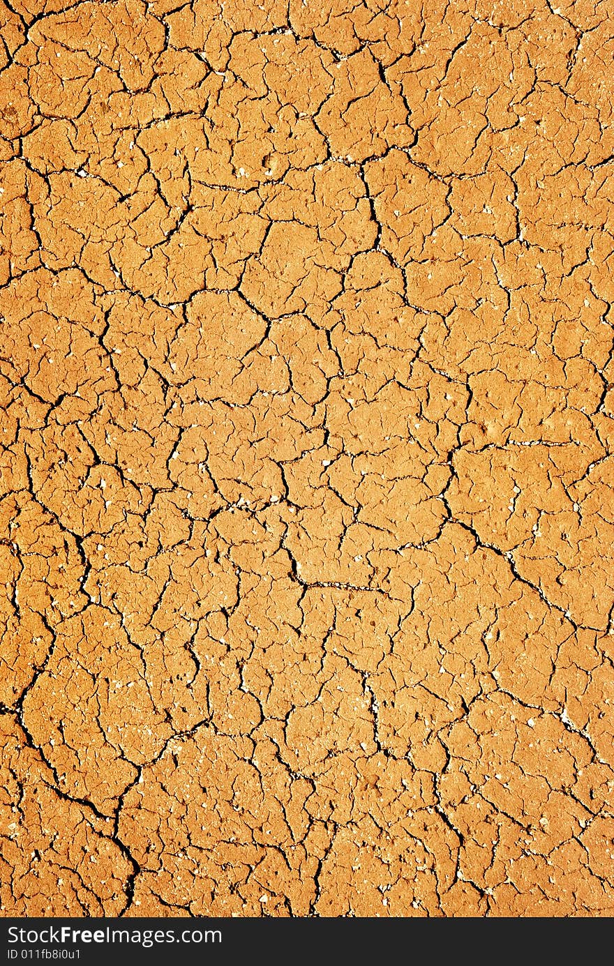 Picture of a Dry soil texture