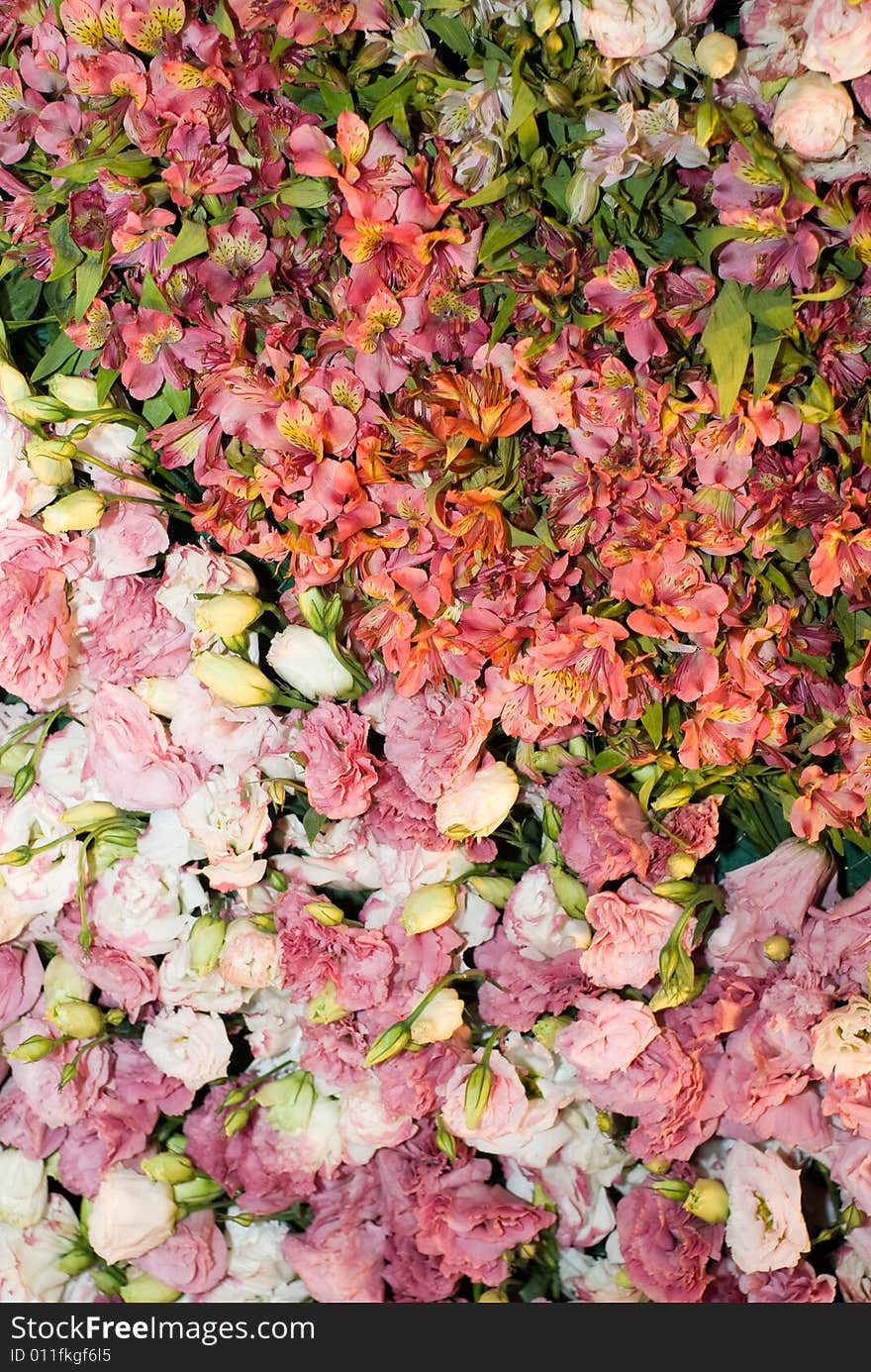 A wall of flowers in different colors and species. A wall of flowers in different colors and species