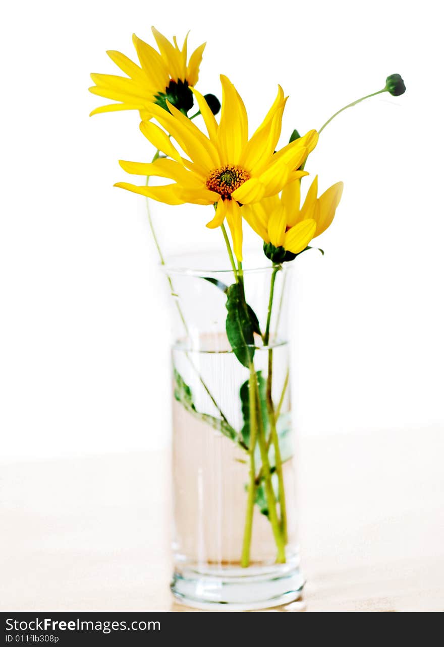 Yellow flower in a vase. Yellow flower in a vase