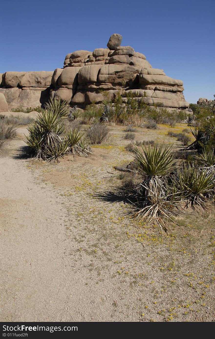 Rock formations at Joshua Tree National Park, Cali