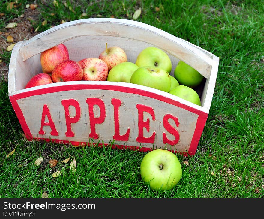 Shot of apples picked from the fruit trees