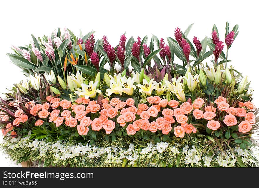 The close up observation of beautiful flowers in details. The close up observation of beautiful flowers in details.