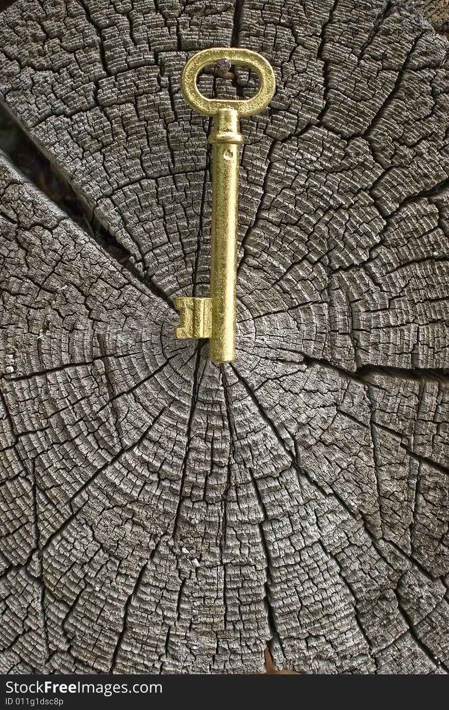 Old key of gold colour on a background of an old tree. Old key of gold colour on a background of an old tree.