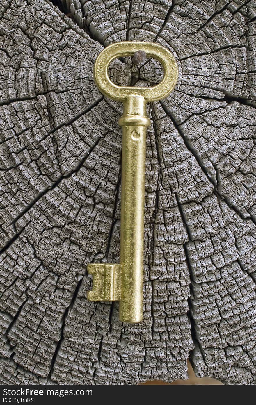 Old key of gold colour on a background of an old tree. Old key of gold colour on a background of an old tree.