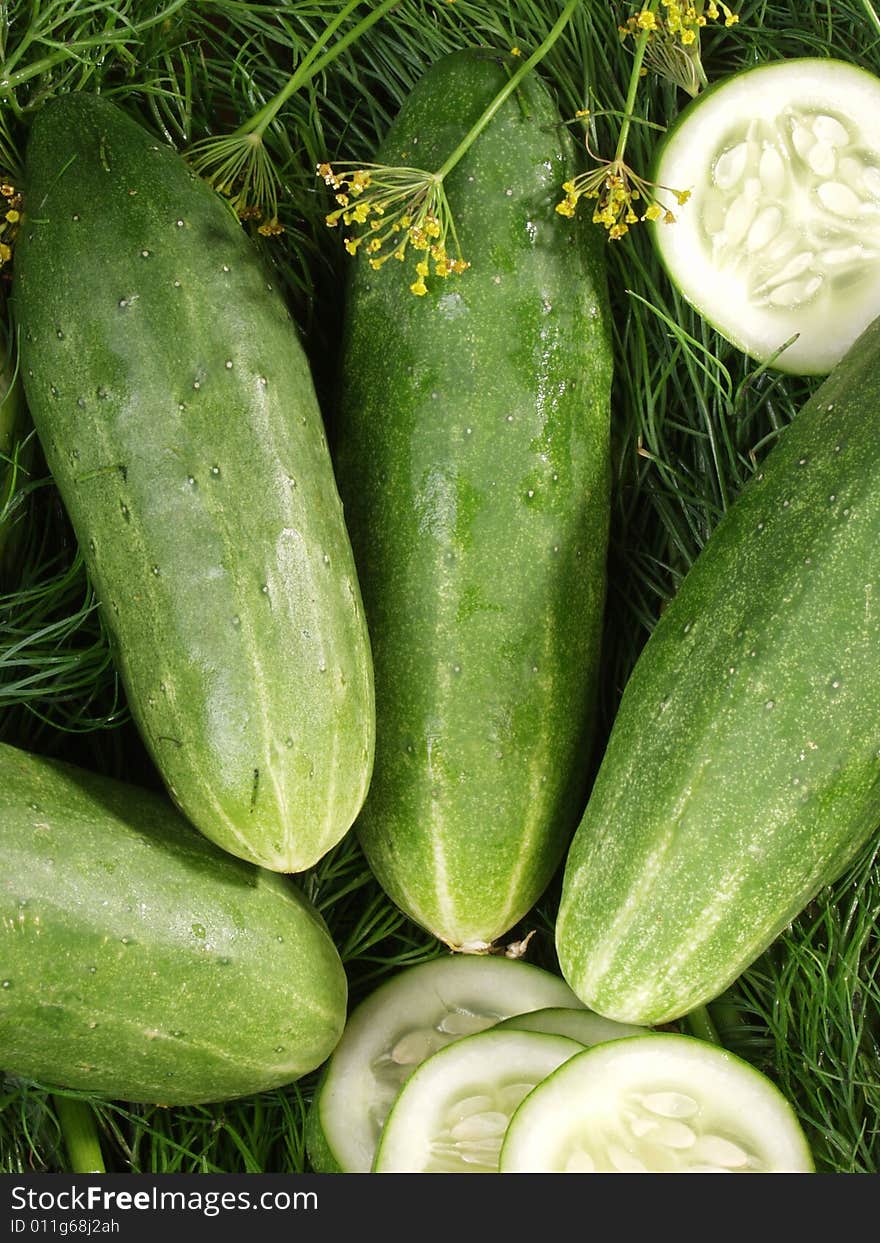 Composition from ripe cucumbers and ringlets on fennel