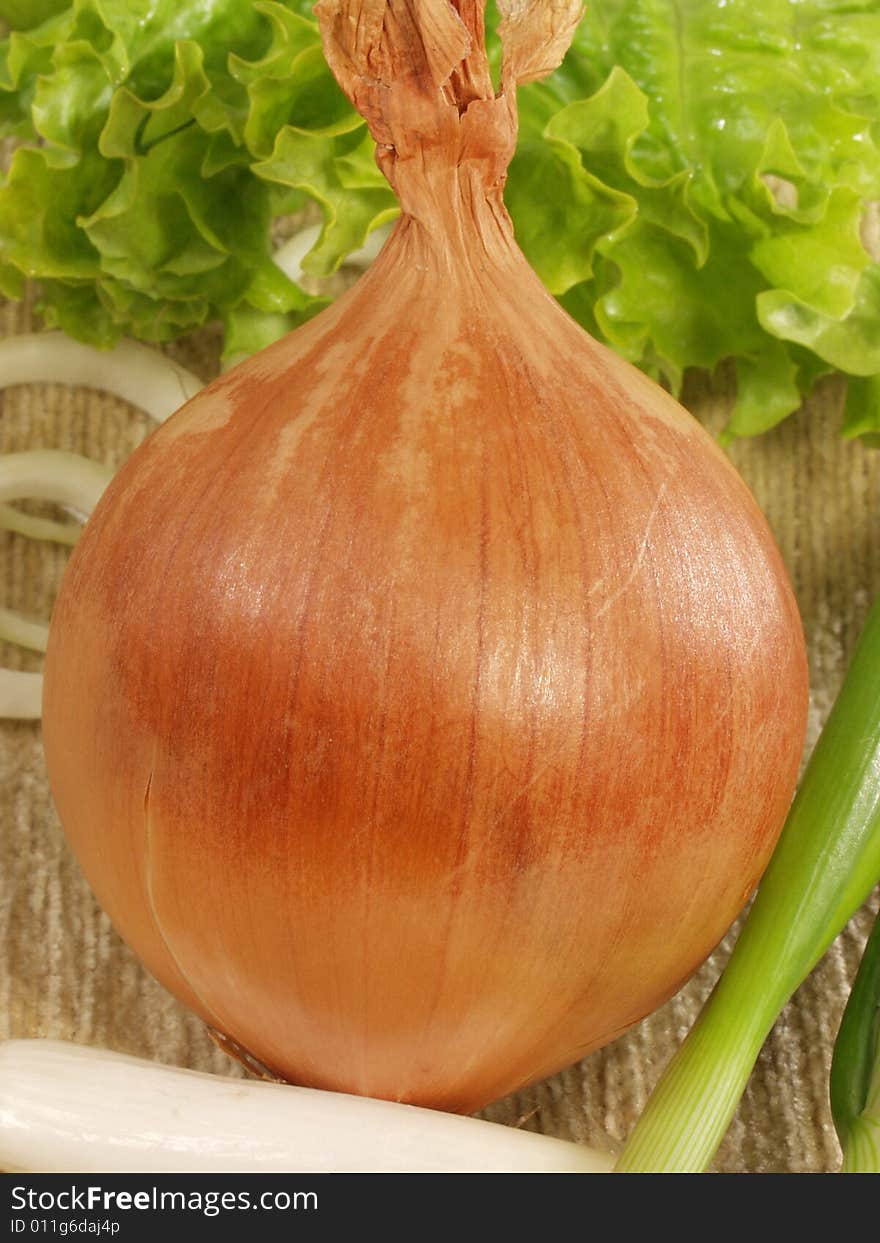 Close up the Bulb on a background of salad and onions rings