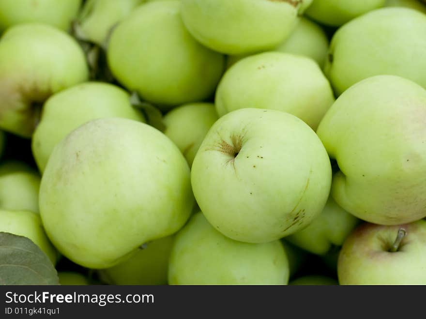 A group of beautiful green apples.