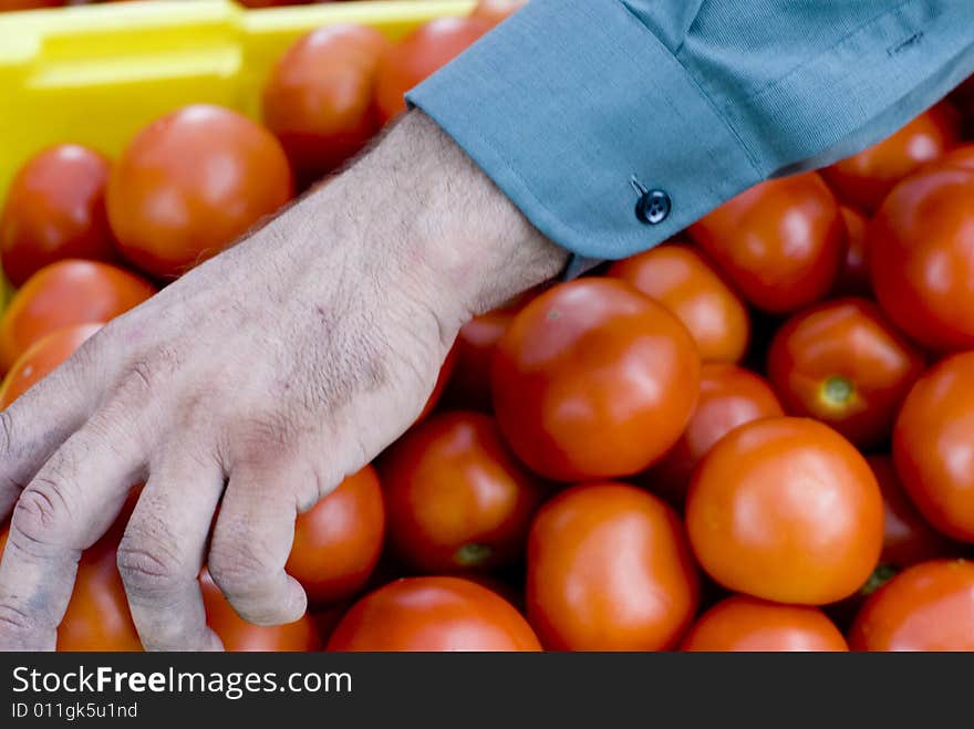 Beautiful red tomatoes at a local market.