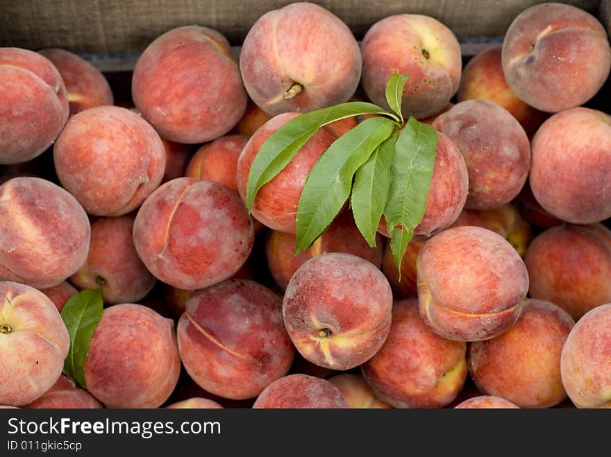 Beautiful peaches outside on a summer day.