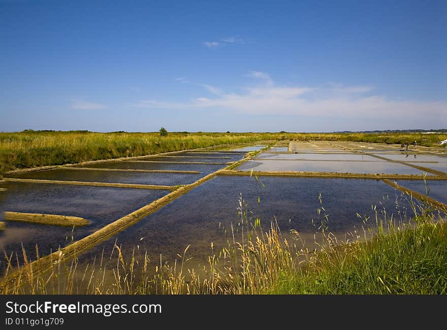 Salt recolte area in guerande in france