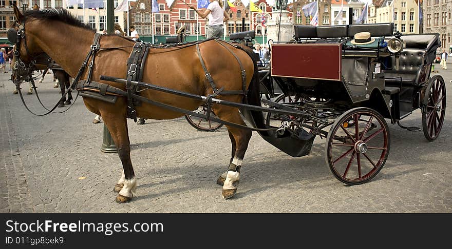 Horse and Carriage in town square waiting for hire