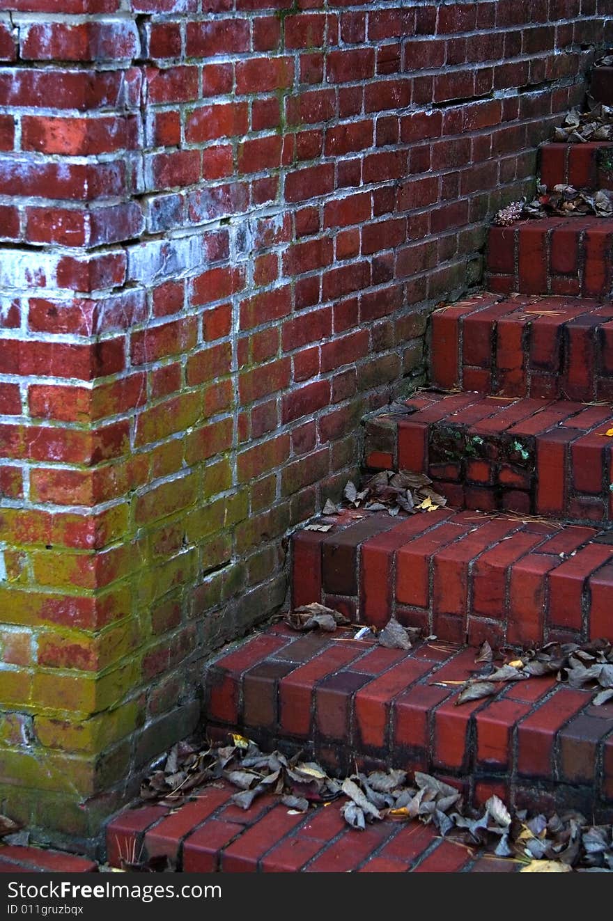 View of brick steps and wall in need of repair.