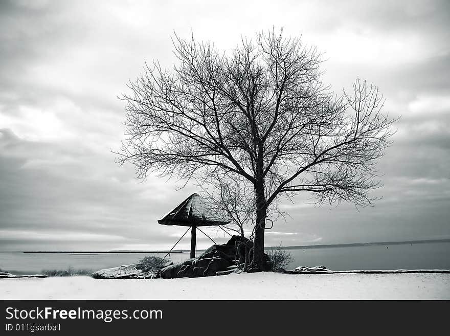 View of shoreline in winter with gazebo and tree. View of shoreline in winter with gazebo and tree.